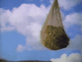 GIF by Onyx Collective