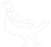 Bird Sticker
