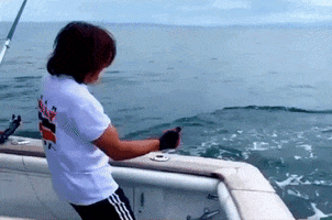 Kelly GIF