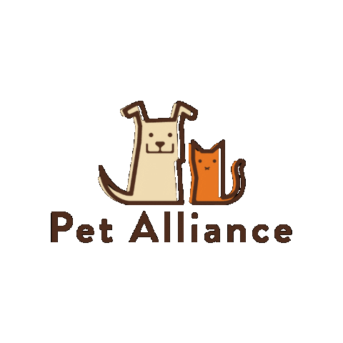 Orlando Pago Sticker by Pet Alliance