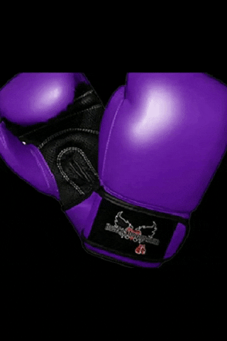 ILoveKickboxing GIF