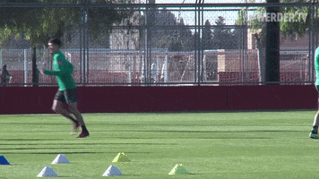 Mallorca Trainingslager GIF by SV Werder Bremen