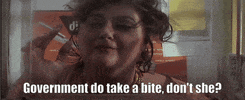 Government GIF