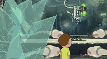 Season 5 GIF by Rick and Morty
