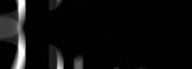 Vivendi Dance Collective GIF
