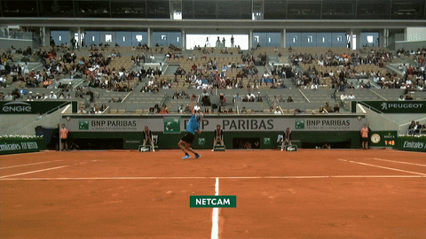 Celebrate French Open GIF by Roland-Garros - Find & Share on GIPHY