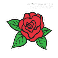 Dia Sticker