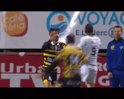 Stade Montois Rugby GIF
