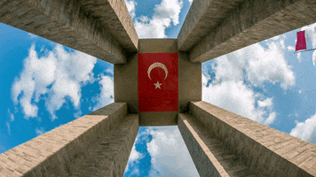 Turkish Flag 30 Agustos GIF by Go Turkey