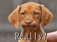 입술 각질 립밤 여름립밤 가을립밤