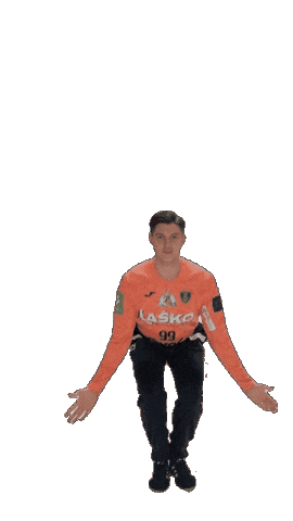 Handball Goalkeeper Sticker by RK CELJE