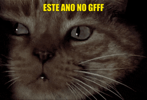 Cat Vigo GIF by GFFF - Galician Freaky Film Festival