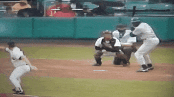Baseball GIF