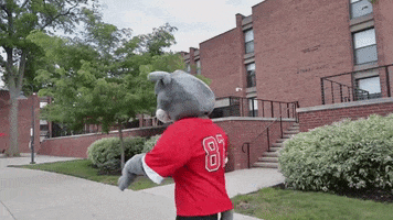 College Sports Spinning GIF by Clark University