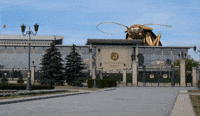 stick-bug-bed-bugs-giant-ants-PnfbRDO3AOHhalhDiz