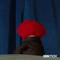 Sesame Street Reaction GIF by HBO Max