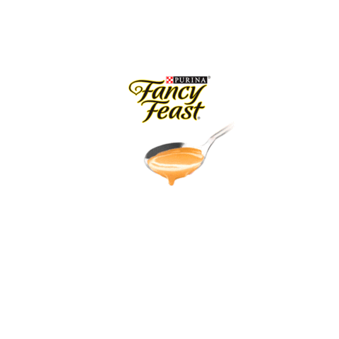 Salsa Fancy Sticker by PURINA CAM