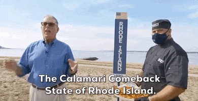 Rhode Island Calamari GIF by Election 2020