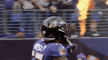 Happy National Football League GIF by Baltimore Ravens