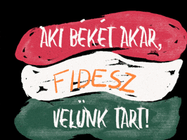 Nowar Beke GIF by Tatai Fidesz