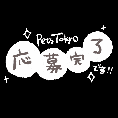 Co.Pets Tokyo GIF