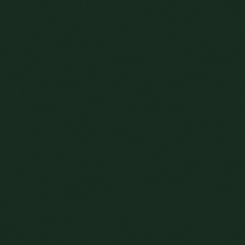 Fisioterapia GIF by GreenFisio