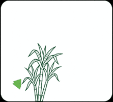 Bioenergetica Aroeira GIF by Bio Aroeira