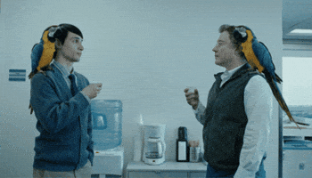 Routine Office Life GIF by PICTON Investments