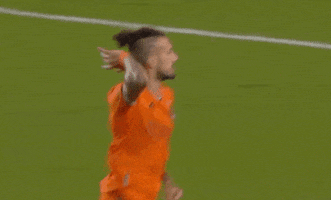 Houston Dynamo Football GIF by Major League Soccer
