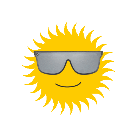 Sun Sunglasses Sticker by Holler