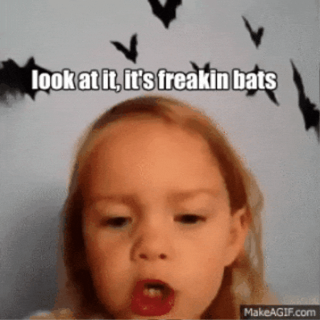 Look At It GIF