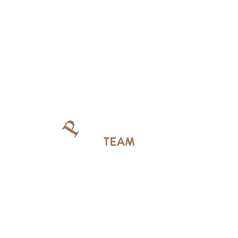 Palleroteam Sticker by pallerospace