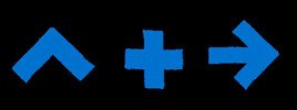 Plan Schweiz GIF