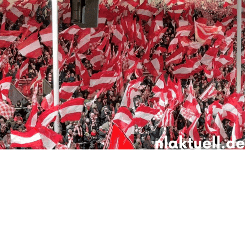 Energie Cottbus Fans Sticker by nlaktuell