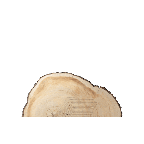 Womens Rights Art Sticker