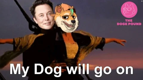Elon Musk Dog GIF