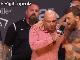 Conor Mcgregor Ufc GIF