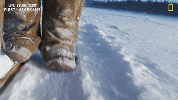 Snow Winter GIF by National Geographic Channel
