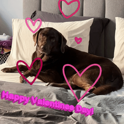 Valentines Day GIF