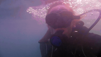 liquidART guadeloupe liquidart plongÃ©e dÃ©couverte GIF