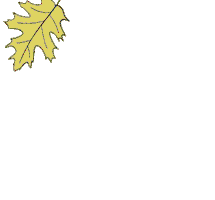 Fall Power Sticker by GorillaHemp