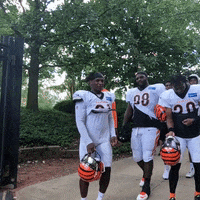 CincinnatiBengals-Px0k1uinP6gPfrDlOy