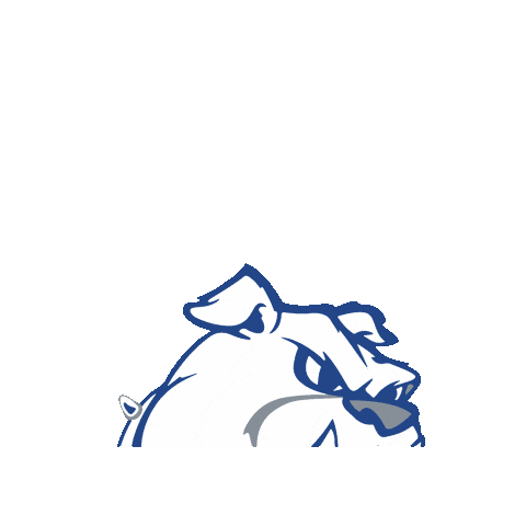 Mount Dora Christian Academy Sticker