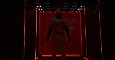 The Mountain Win GIF by Baltimore Orioles