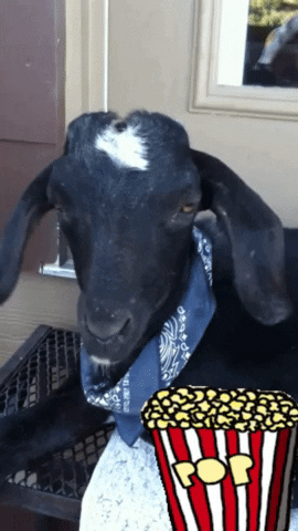 Goat GIF