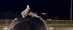 Car Dance GIF