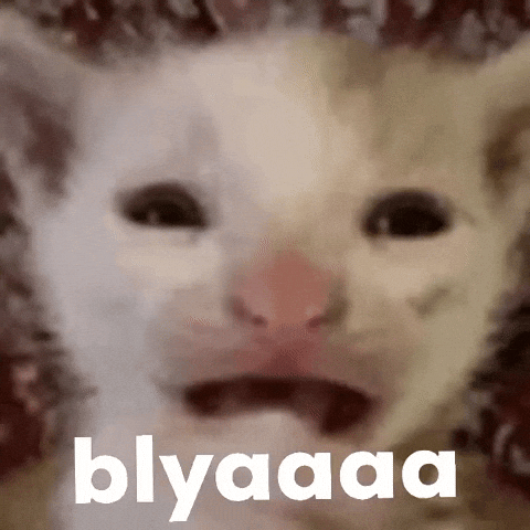 Uzbek Uzb GIF