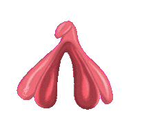 Animated Sticker