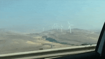 Driving Climate Change GIF by Lake Street Dive