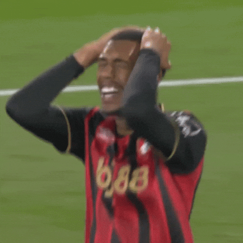 Premier League Smile GIF by AFC Bournemouth